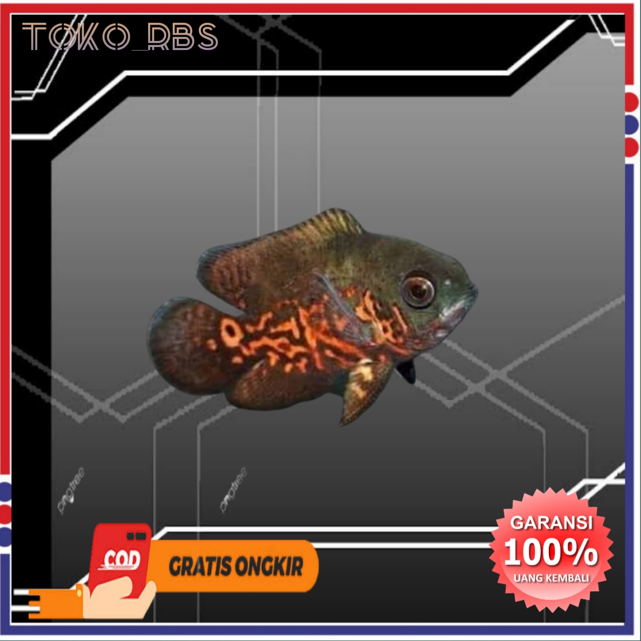 Ikan oscar batik good marking