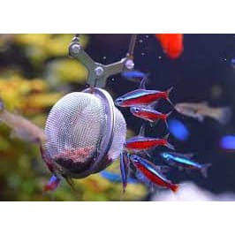 Ikan kardinal